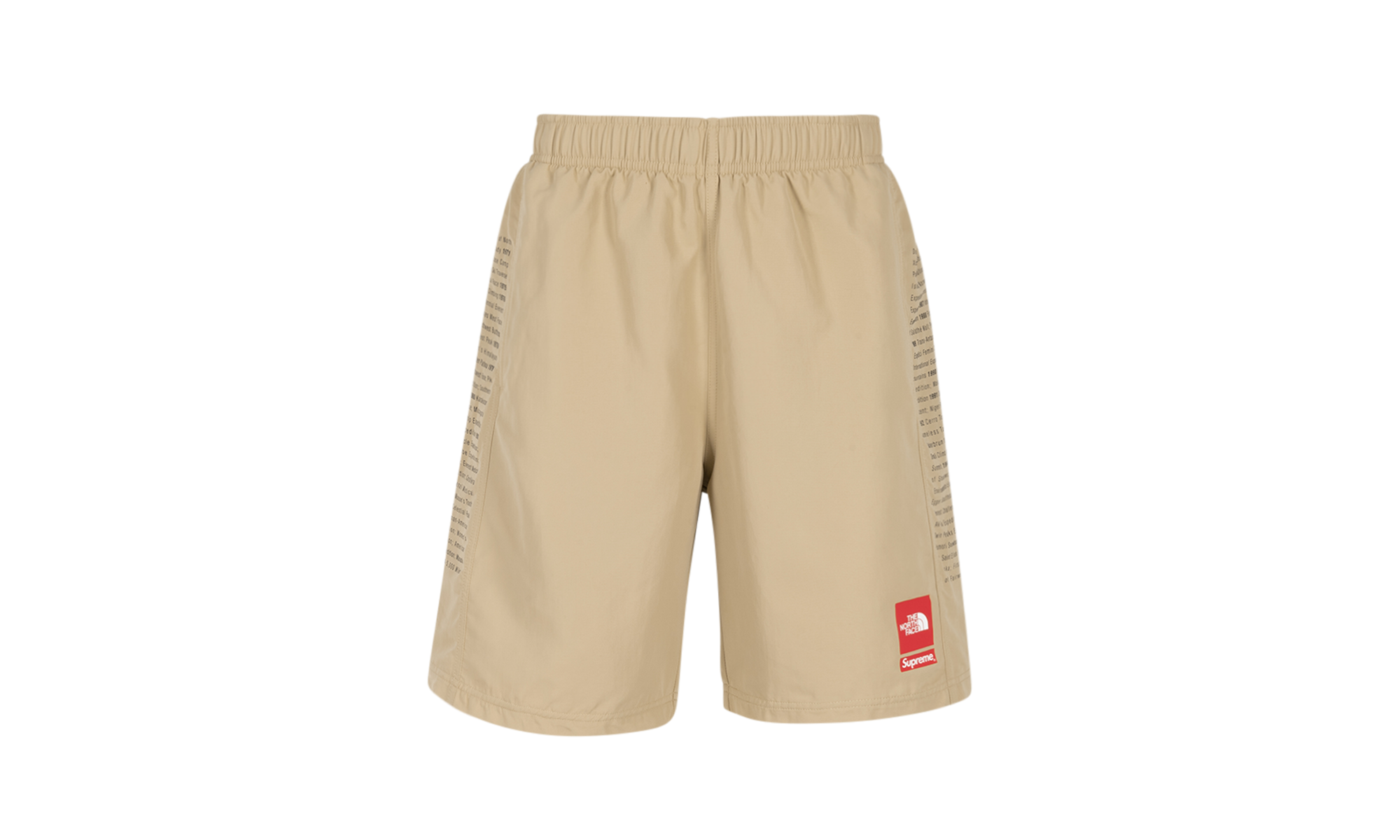 Supreme The North Face Nylon Short 1