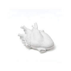 Seletti Love in Bloom Box