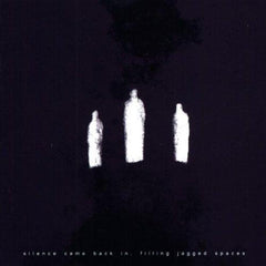 Nothing - Silence Came Back in, Filling Jagged Spaces