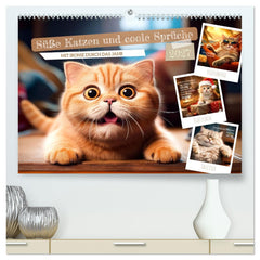Süße Katzen und coole Sprüche (CALVENDO Premium Wandkalender 2027)
