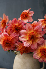 Totally Tangerine