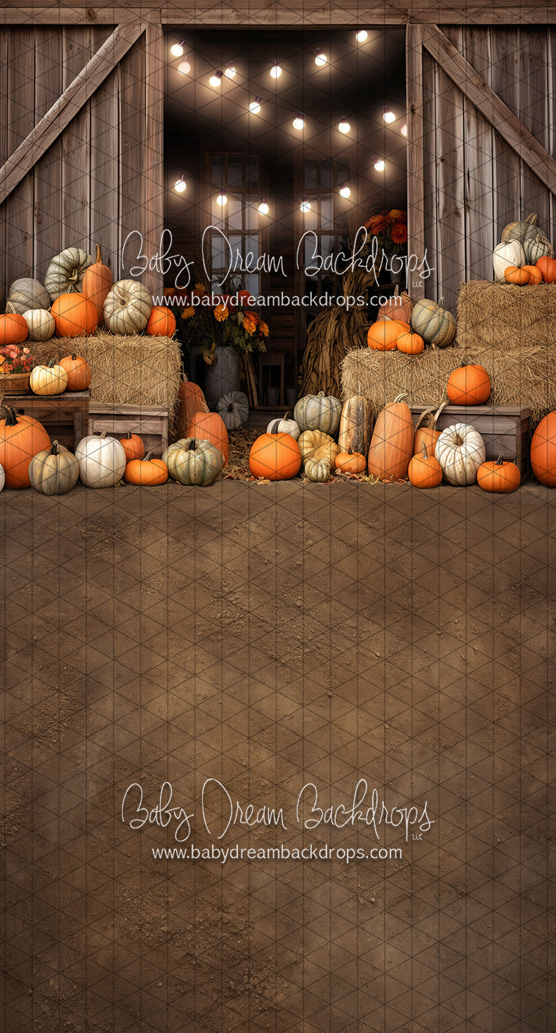 Sweeps Rustic Pumpkin Barn Door (JA)