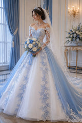 Wedding Princess Blue Gown