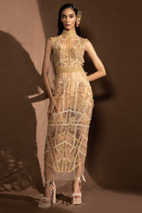Buy Abhishek Sharma Soft Brown Net Dresses