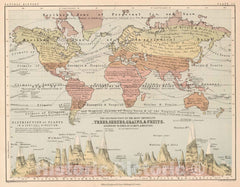 Historic Map : 1852 Distribution of the Most Important Trees, Shrubs, Grains, Fruits. - Vintage Wall Art