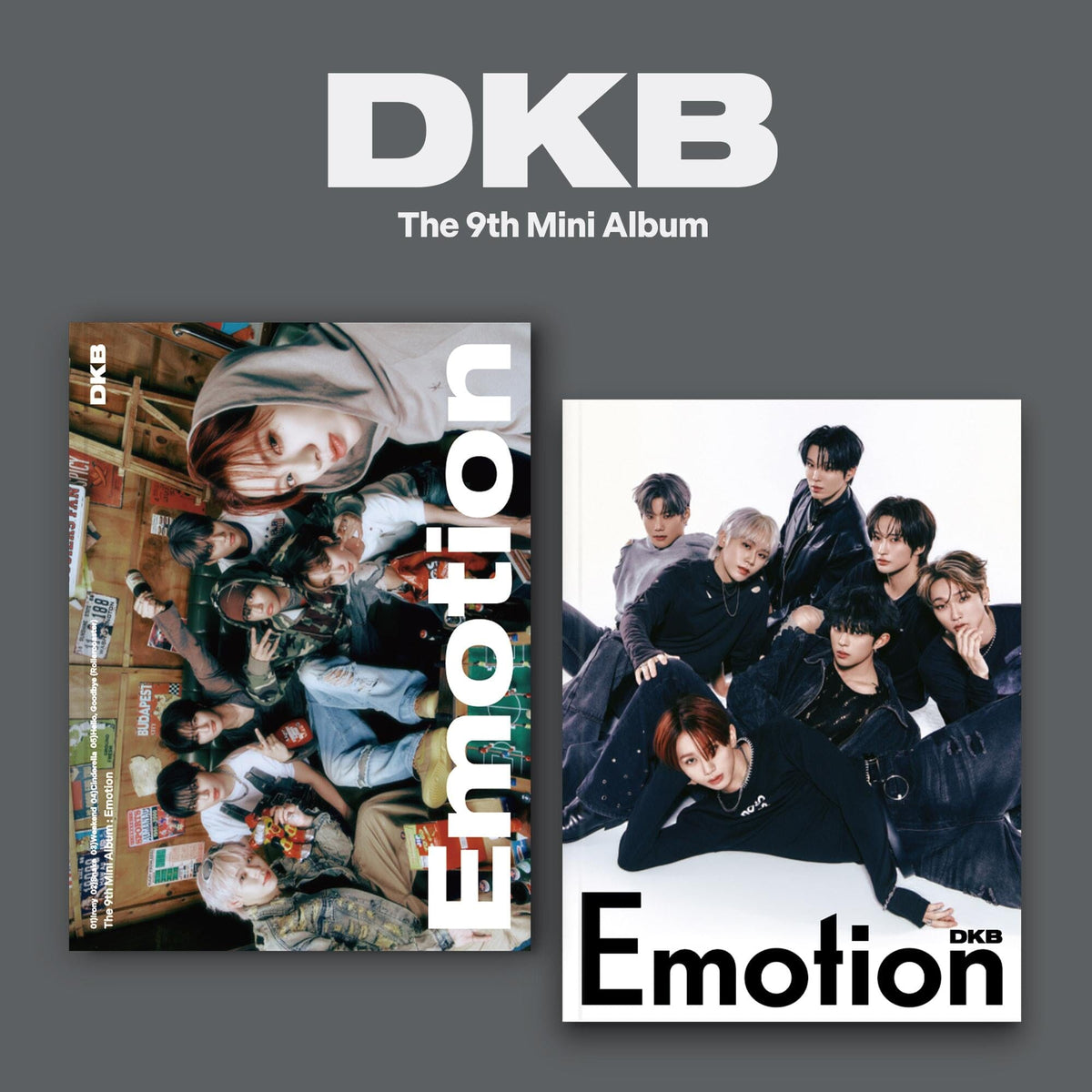 DKB - EMOTION Nolae